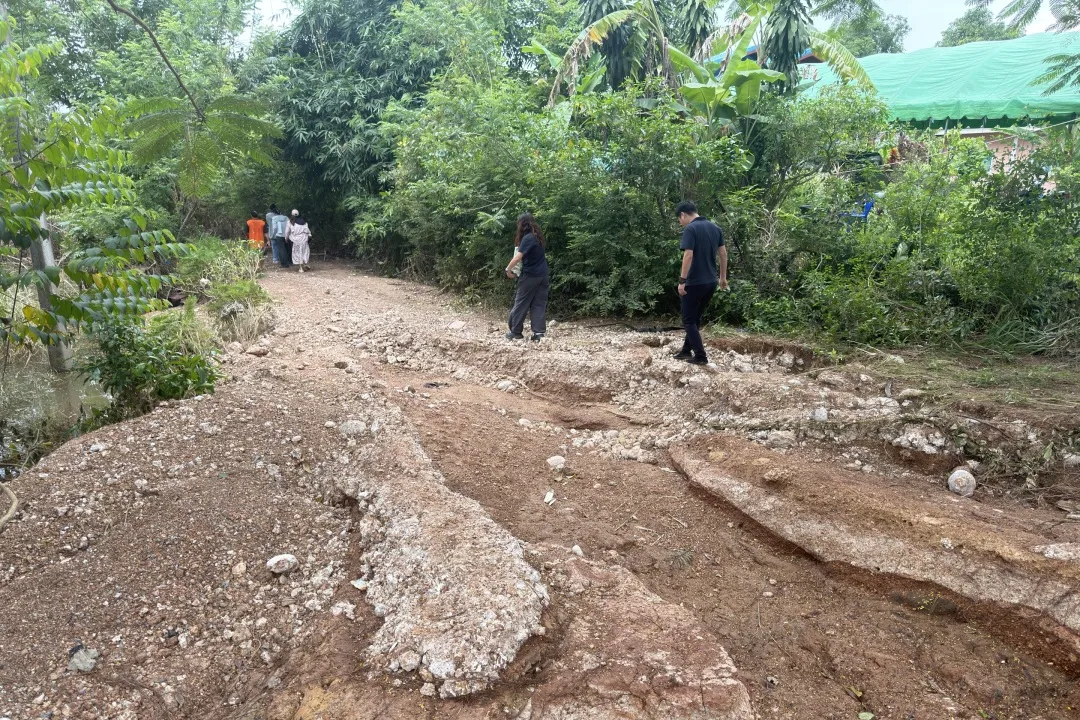 /upload/202610221455074881.jpg